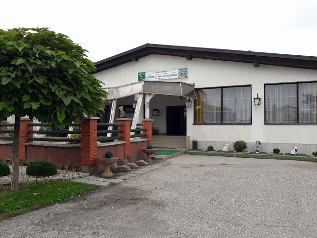 Comentarii opinii despre Gostilna Pri Amerikancu