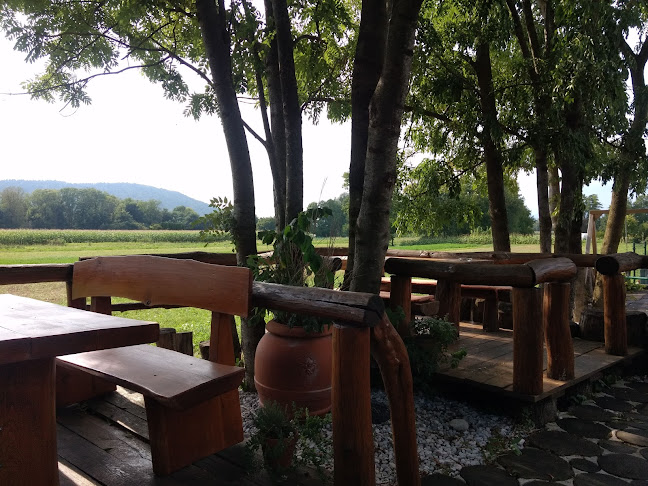 Gostilna in pizzerija Mars - Gastronomija in gostinstvo