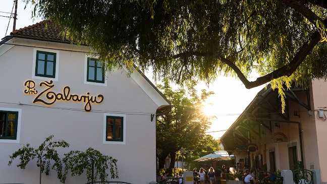 Viška cesta 48, 1000 Ljubljana