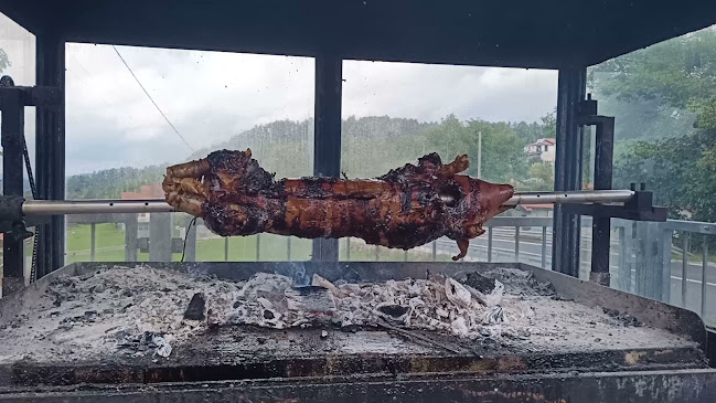 Račice 4, 6244 Podgrad