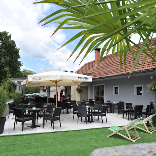 Comentarii opinii despre Hugo Bar