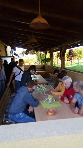 Kolar Milan - nosilec dopolnilne dejavnosti na kmetiji - vinotoč Kolar - Gastronomija in gostinstvo