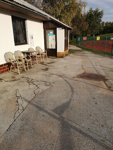 Stritarjeva ulica 24, 3000 Celje