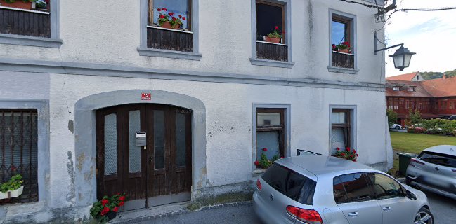 Peka Peciv, Zorica Mitić s.p.