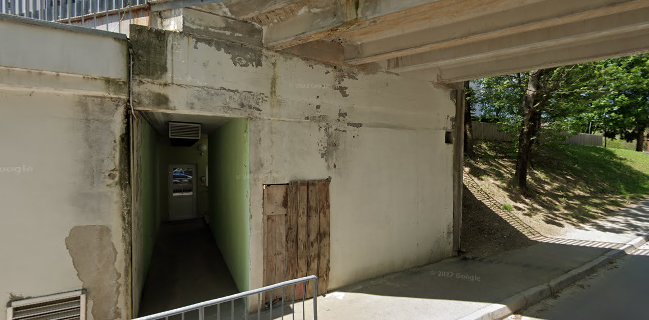 Strežba pijač, King`s pub, Saša Miškić s.p.