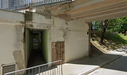 Strežba pijač, King`s pub, Saša Miškić s.p.