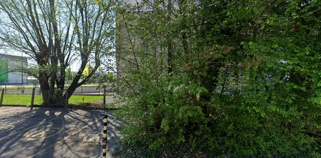 Opinii despre Cool House Vič în Ljubljana - Gastronomija in gostinstvo