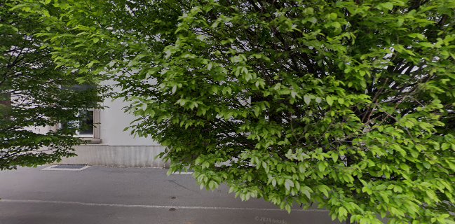 Kooperativa Dame, trajnostni turizem in gostinstvo, z.o.o., socialno podjetje