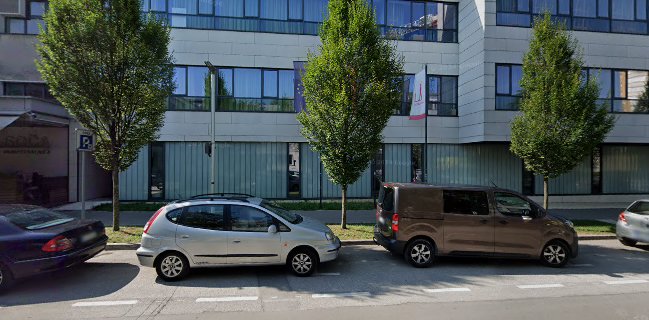 Okrepčevalnica Soča Ademi Avni s.p.