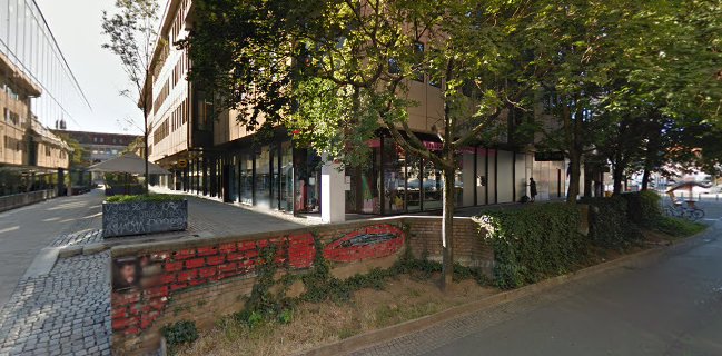 Papagayo Cocktail Bar & C H O C O