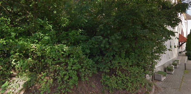 Kavarna in sladoledarna Magnus