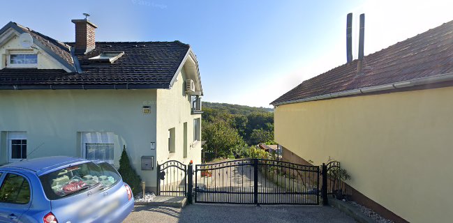 Trgovinske storitve in bar, Mojca Hočuršćak s.p.