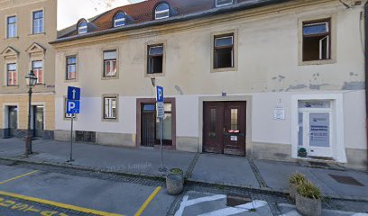 Latino revolucija, gostinstvo, trgovina, storitve, d.o.o.