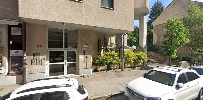 Thalia Cafe - Gastronomija in gostinstvo