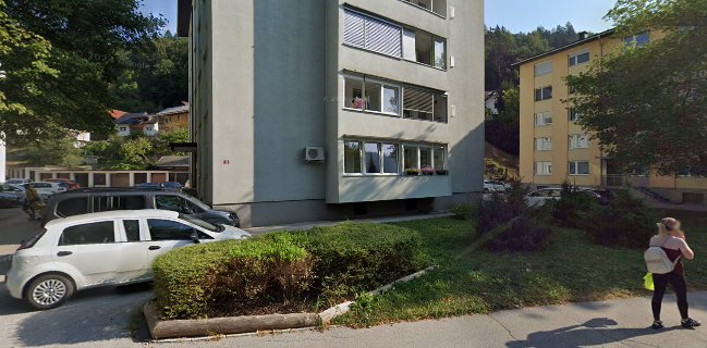 Bika, programiranje, Bine Gorjanc s.p.