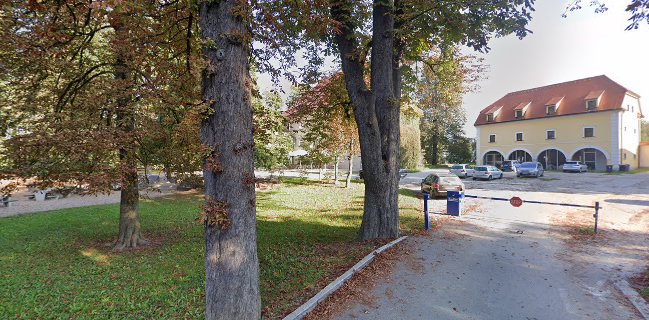 Opinii despre Finisterra Grad Kodeljevo în Ljubljana - Gastronomija in gostinstvo