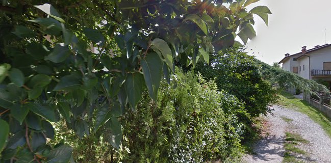 Genlog d.o.o., PekainDom