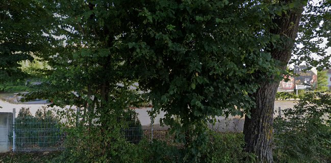 BAR GABRIELA GABRIJELA VIVIAN JENKO S.P.