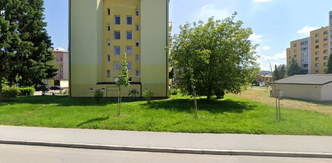 Ulica Frankolovskih žrtev 13, 3000 Celje