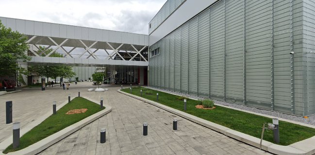 Dobra hiša Vozi Miško