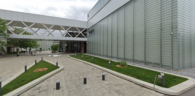 Lolita Supernova Rudnik | Kaval Group