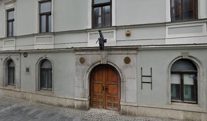 Mireille, nepremičninski projekti za trg d.o.o., poslovna enota kavarna planinka