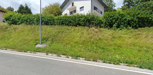 Mesnice Ledas podjetje za predelavo in prodajo mesa in mesnih izdelkov, d.o.o., Celje