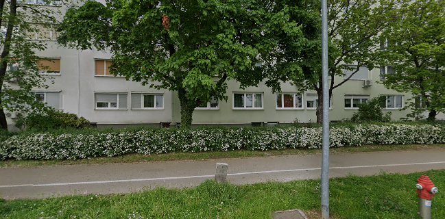 Bar trend Domen Krušnik s.p.