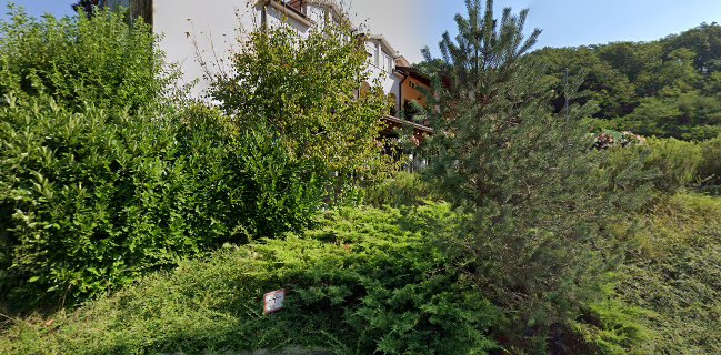 Hiša posebne sorte d.o.o.