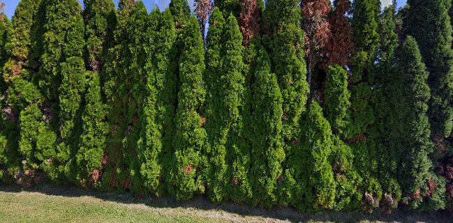 Črna Kuhna Restaurant