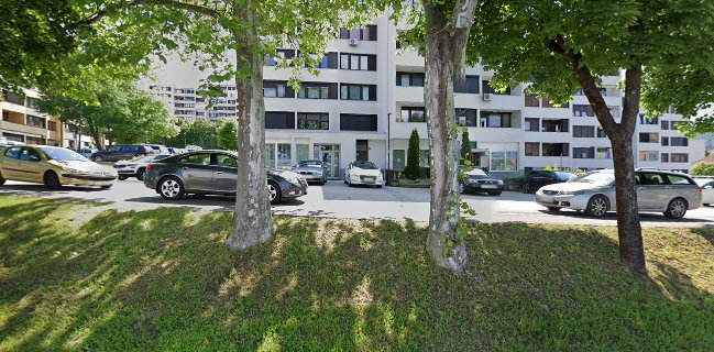 Bar Bonaca, Petra Hren, s.p.