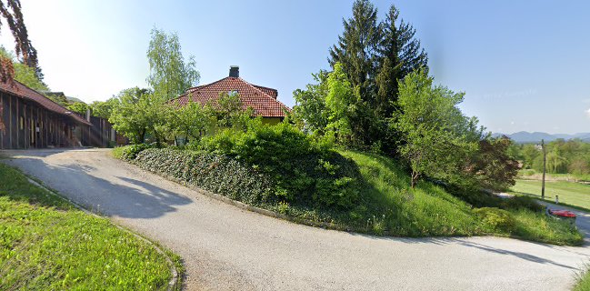 Vita Activus proizvodnja, trgovina in svetovanje, d.o.o.