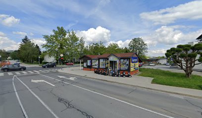 Bar-Bistro Lentek, Milena Kovačević s.p.