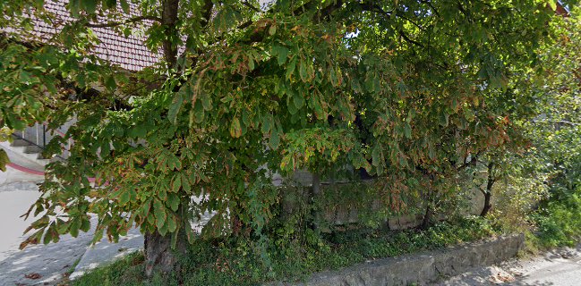 Slaščičarstvo Martina Martina Kastelic s.p.