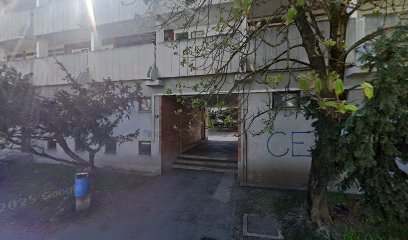 Top Mark storitve in trgovina d.o.o. PE kaktus bar