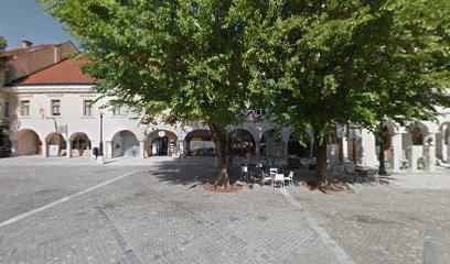 Apartment Rezidenca Goga