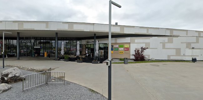 Kralj Matjaž Supernova Qlandia Novo mesto