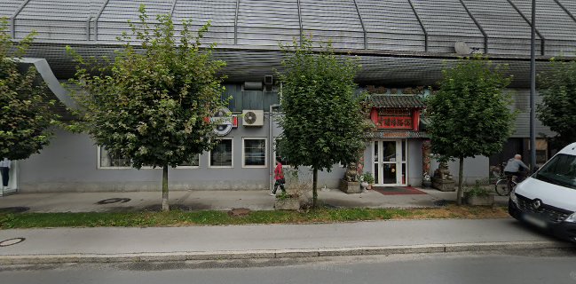 Ye DuoLi - 叶躲黎