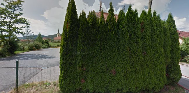 Caffe & pizzeria Emma - Gastronomija in gostinstvo