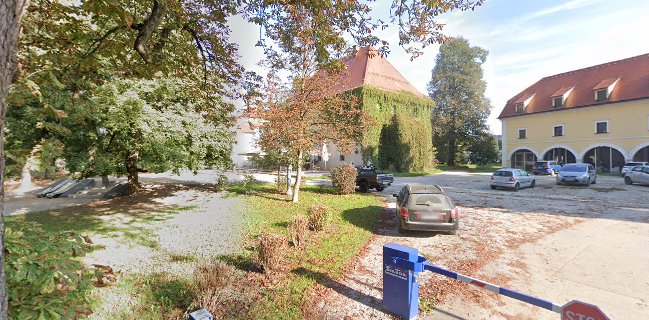 Opinii despre Finisterra Grad Kodeljevo în Ljubljana - Gastronomija in gostinstvo