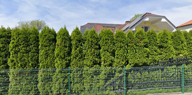 Špelino pecivo, proizvodnja peciva, Borovnik Stanislav s.p.,