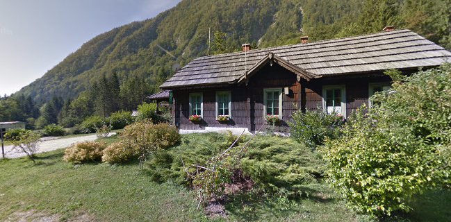 International Piknik Center "Pri Jurju"