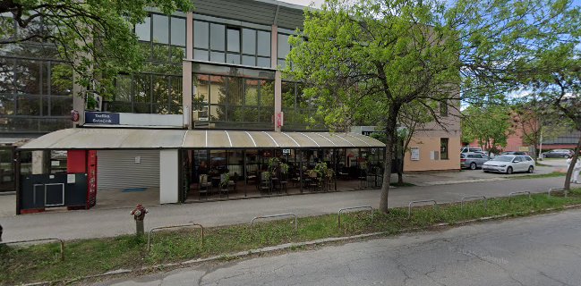 Mojito Bar Andric Igor S.P. - Gastronomija in gostinstvo