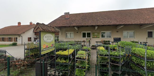 Kmetija Avšič, EKO zelenjava, sadje in sadike