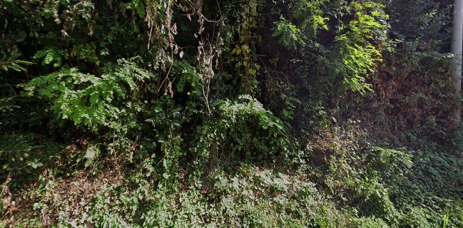 Ok Corral Pizzerija & Grill