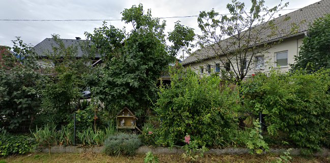 Strežba pijač, Katja Rozman s.p.
