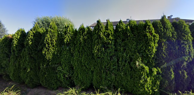 Dnevni bar Karantanija Mojca Bučar s.p.