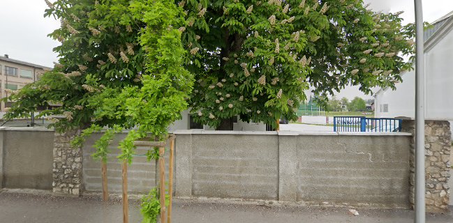 Bar pri zelenem travniku