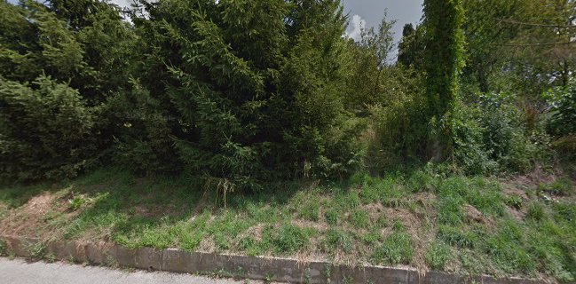 Sirc Janko S.P. - Mesarstvo