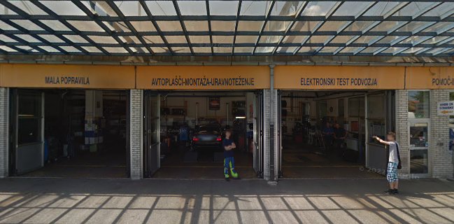 Kava Bar Bazza, Darja Virtnik S.P.